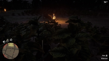 Red Dead Redemption 2 Screenshot